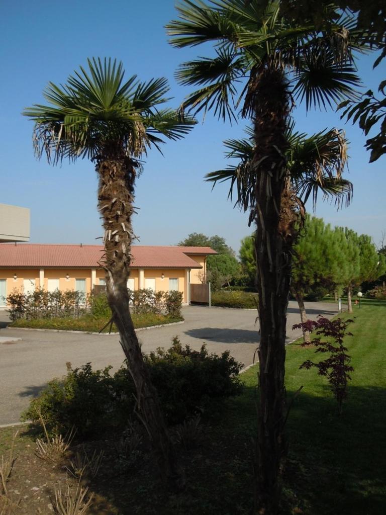 Hotel Motel Fiore Fiorenzuola dʼArda Exterior foto
